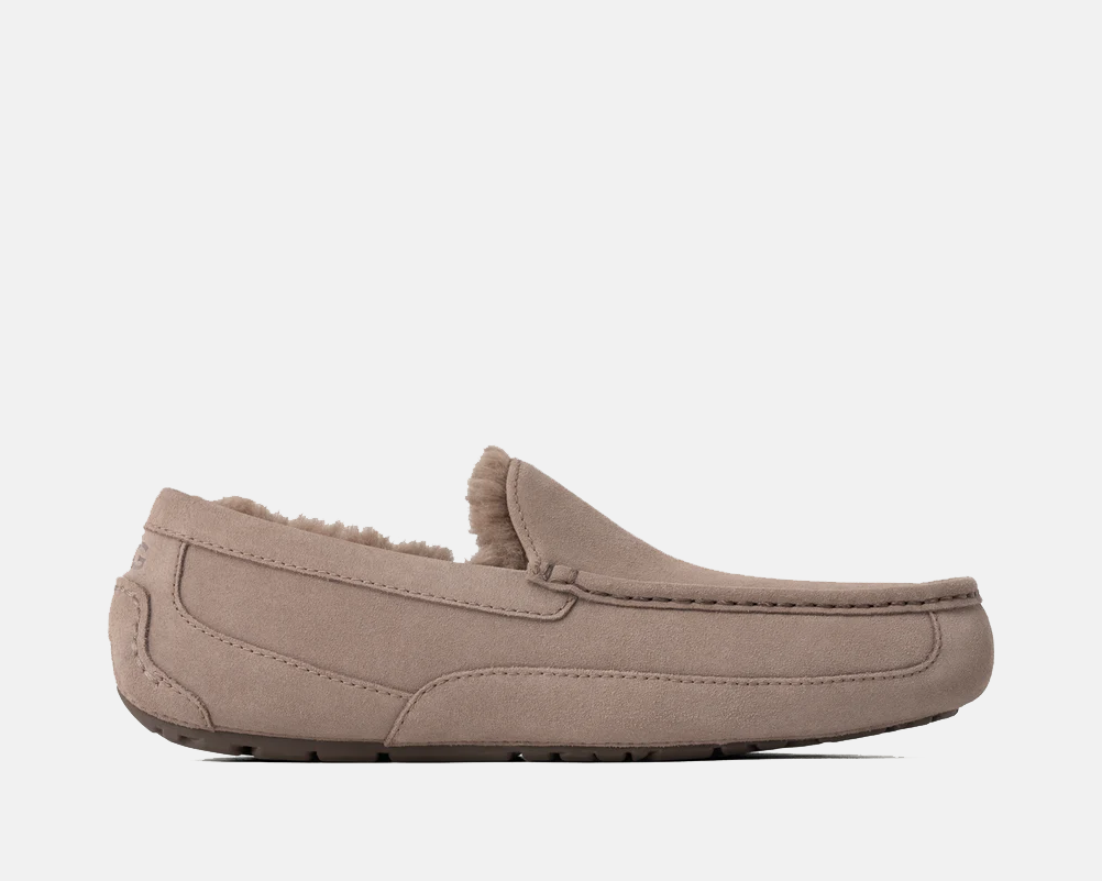 Ascot Suede
