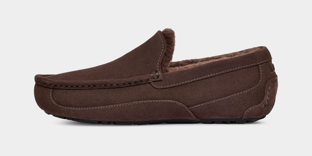 UGG Ascot Suede slippers in dark brown suede with stitched detailing and plush shearling lining, side view.