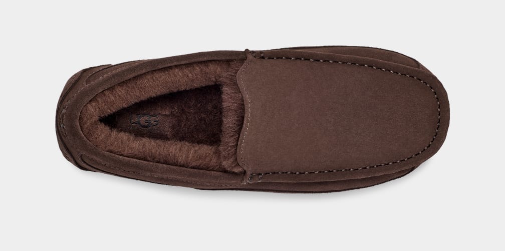 UGG Ascot Suede slippers in rich brown suede with a plush wool lining, top view highlighting moccasin-style stitching.