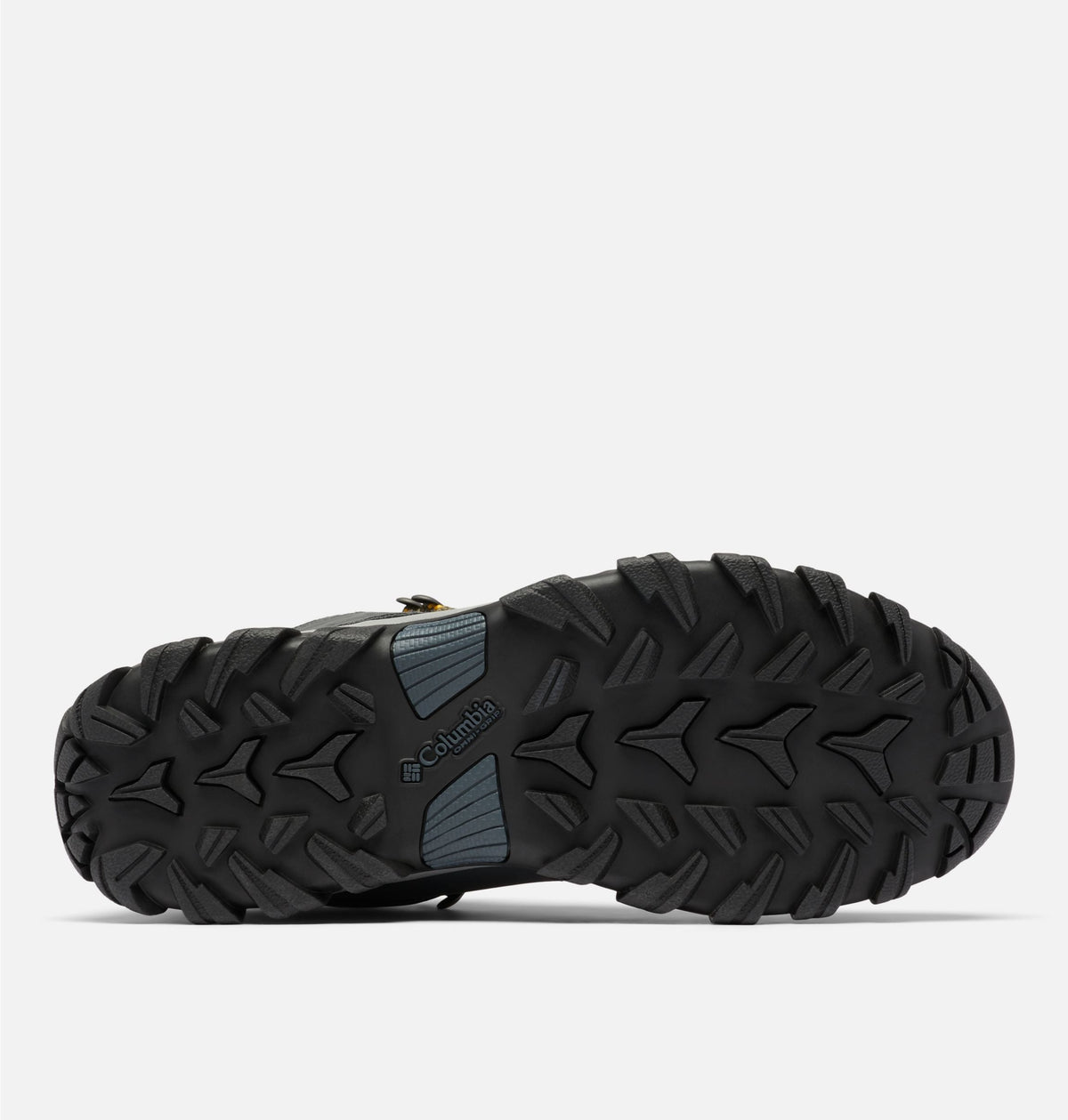 Newton Ridge Plus II Waterproof Hiking Boots