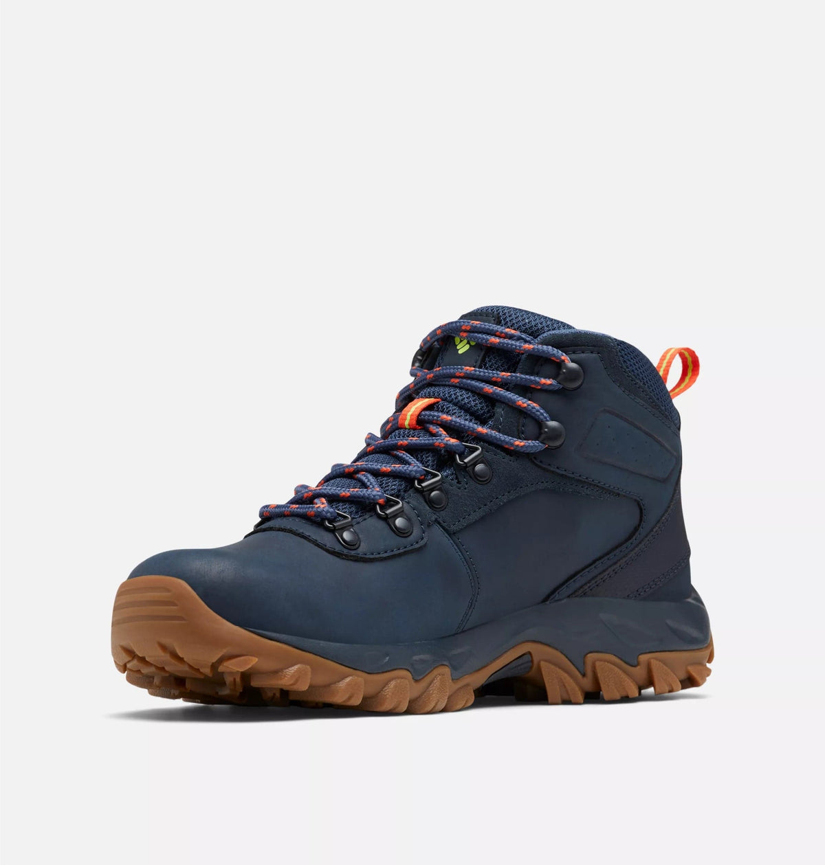 Newton Ridge Plus II Waterproof Hiking Boots