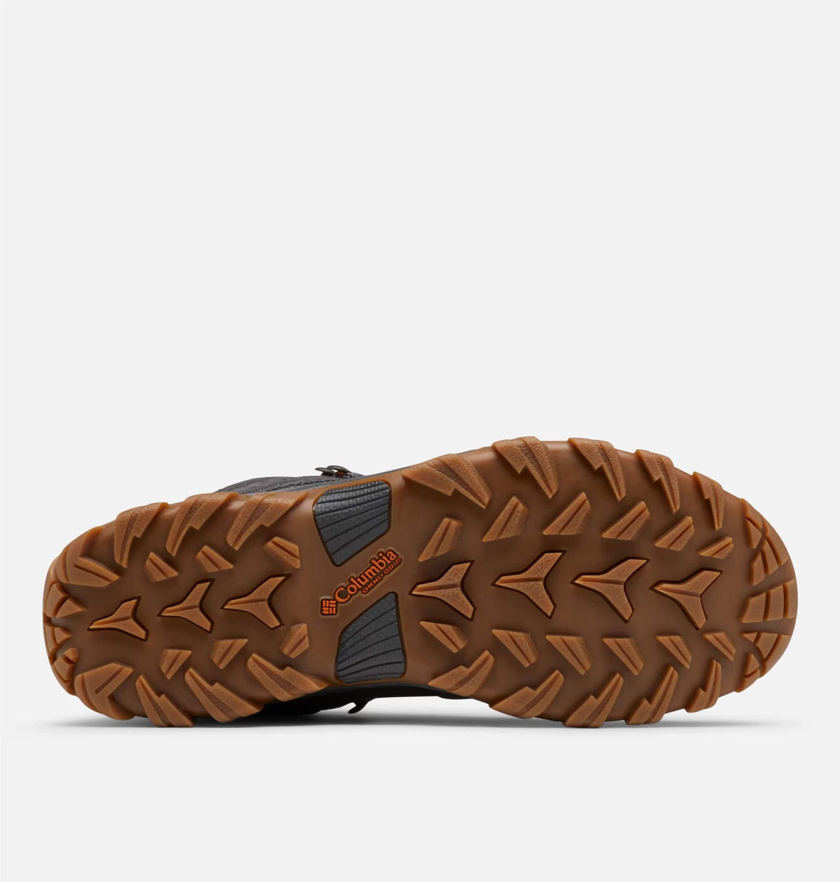 Newton Ridge Plus II Suede Waterproof Hiking Boot