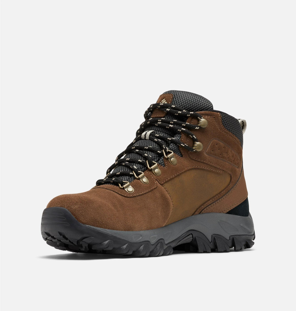Newton Ridge Plus II Suede Waterproof Hiking Boot