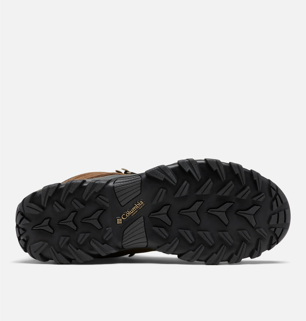 Newton Ridge Plus II Suede Waterproof Hiking Boot