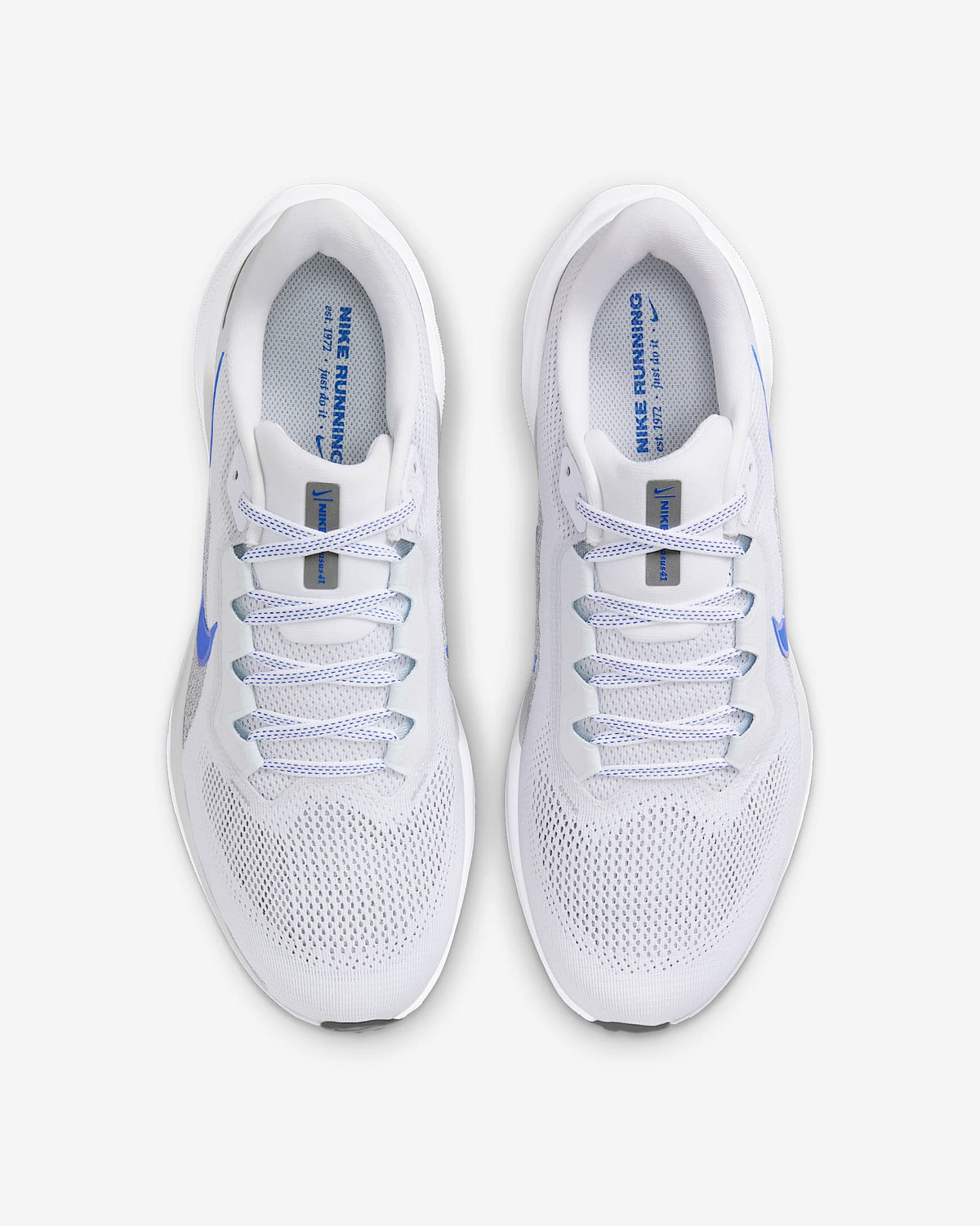 Air Zoom Pegasus 41