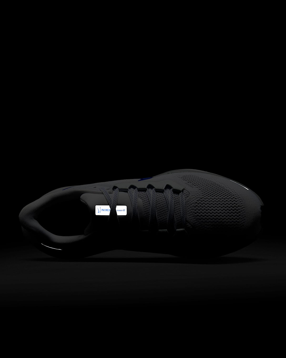 Air Zoom Pegasus 41