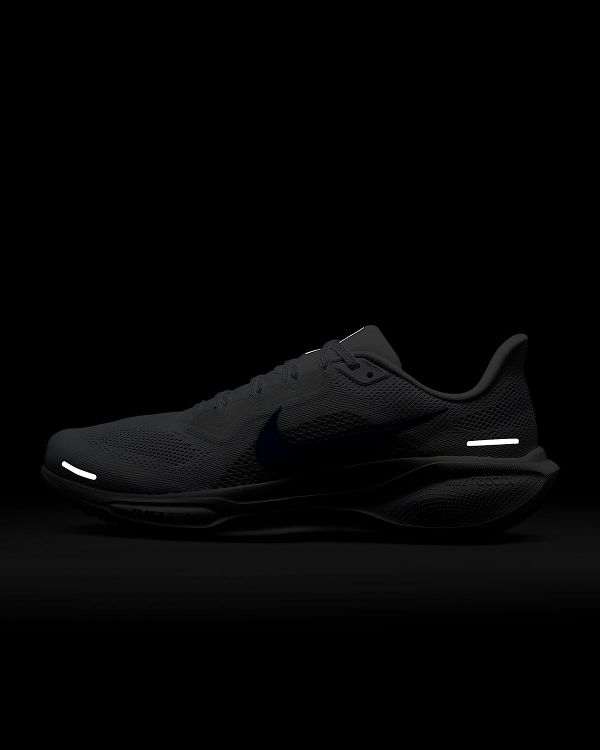 Air Zoom Pegasus 41