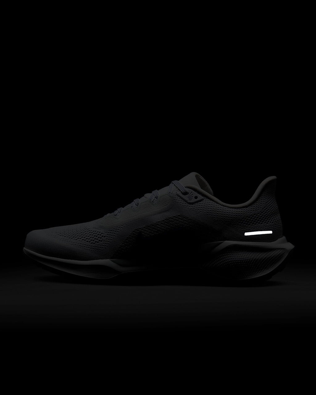 Air Zoom Pegasus 41