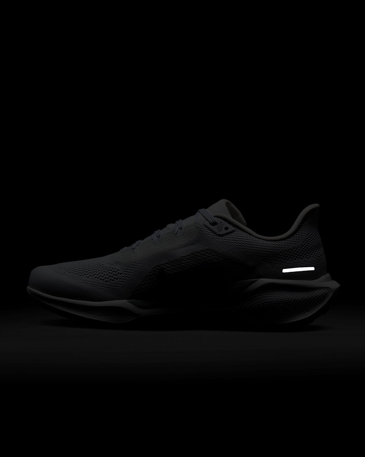 Air Zoom Pegasus 41