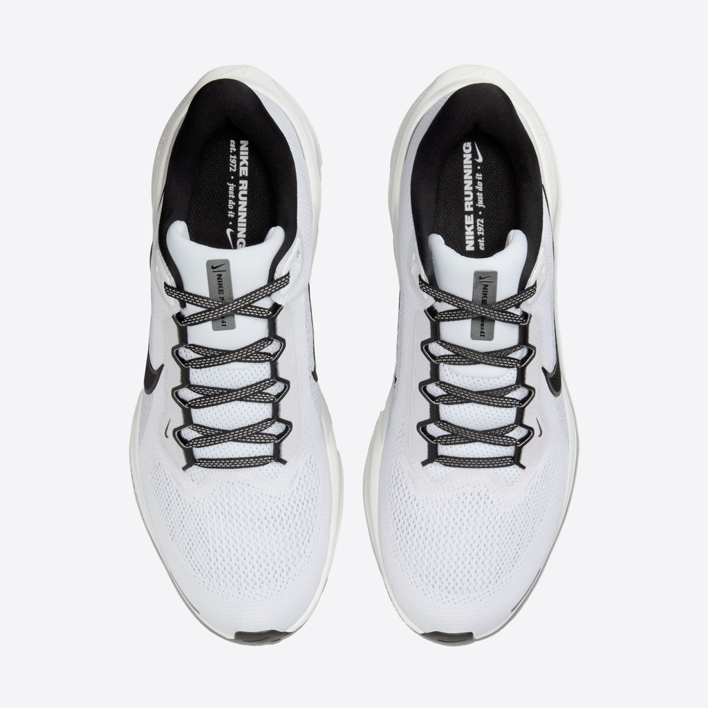 Air Zoom Pegasus 41