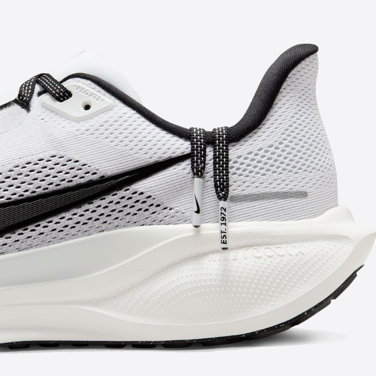 Air Zoom Pegasus 41